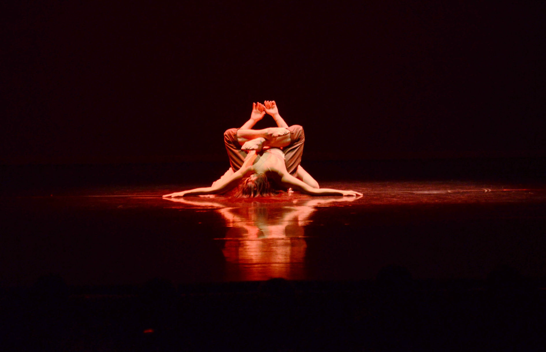 „Horizons“ von Andonis Foniadakis, Jin Young Won und Guillaume Quéau