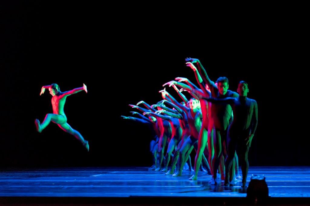 „Dürer´s Dog“ von Goyo Montero