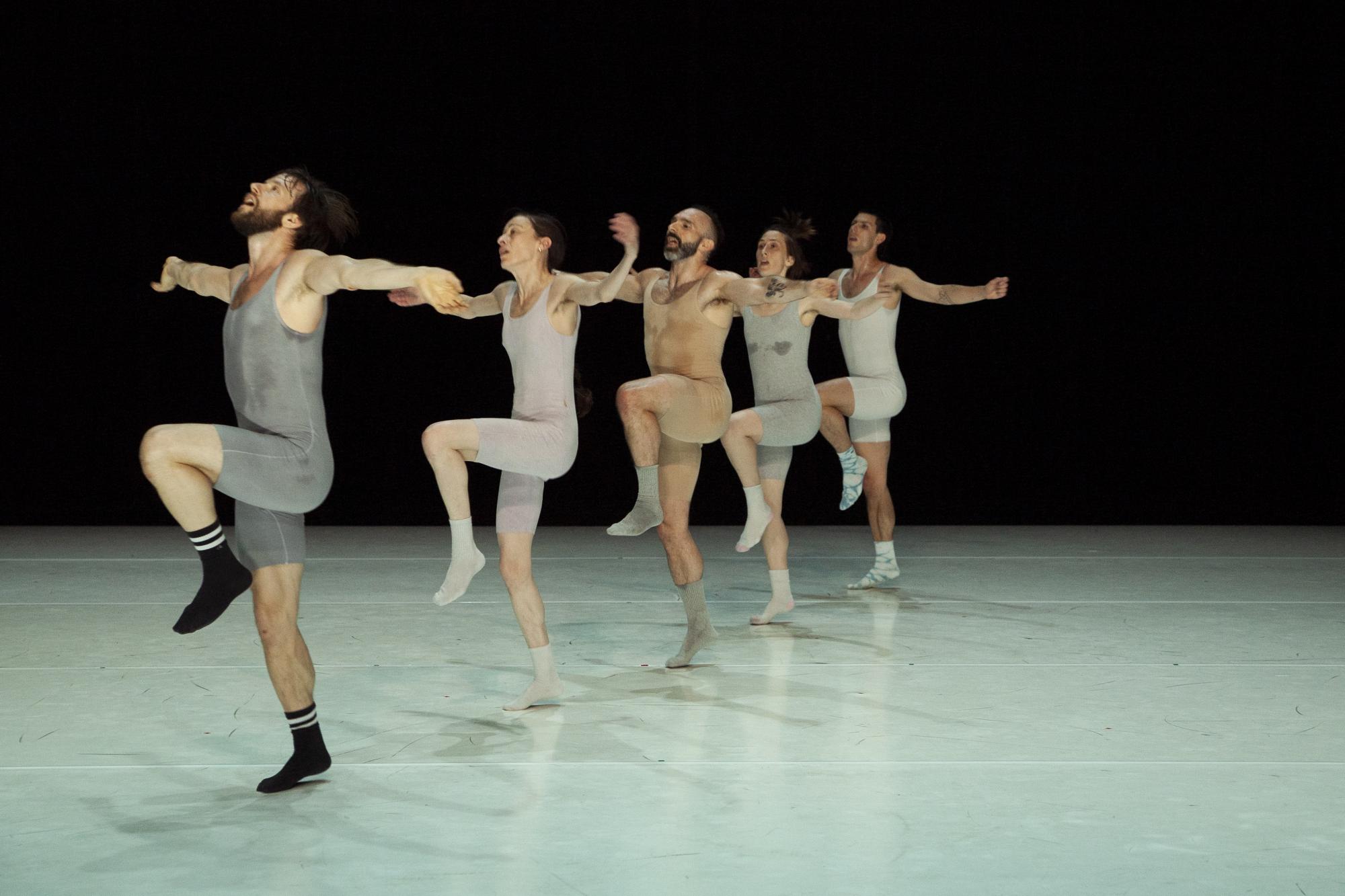 „The Pretty Things“ von Catherine Gaudet