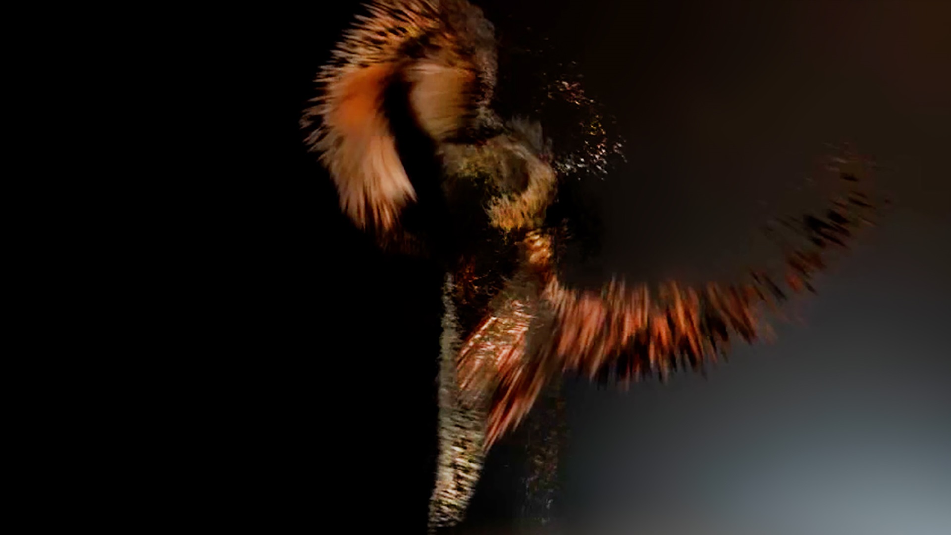 „Tracing the Negative Space“ von Angelika Meindl, Tobias Gremmler und Thomas Mahnecke