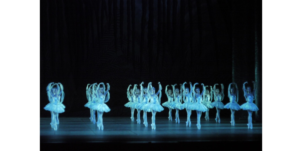 „La Bayadère“ Ensemble