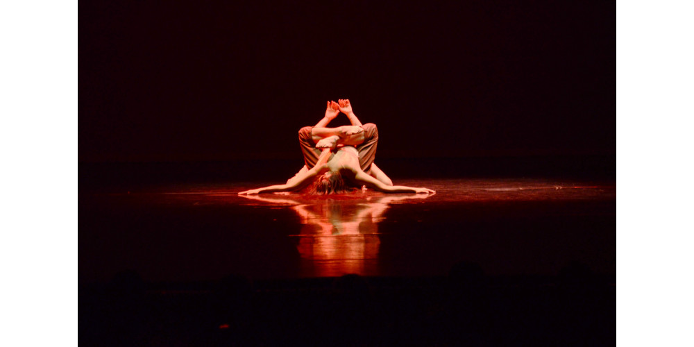 „Horizons“ von Andonis Foniadakis, Jin Young Won und Guillaume Quéau