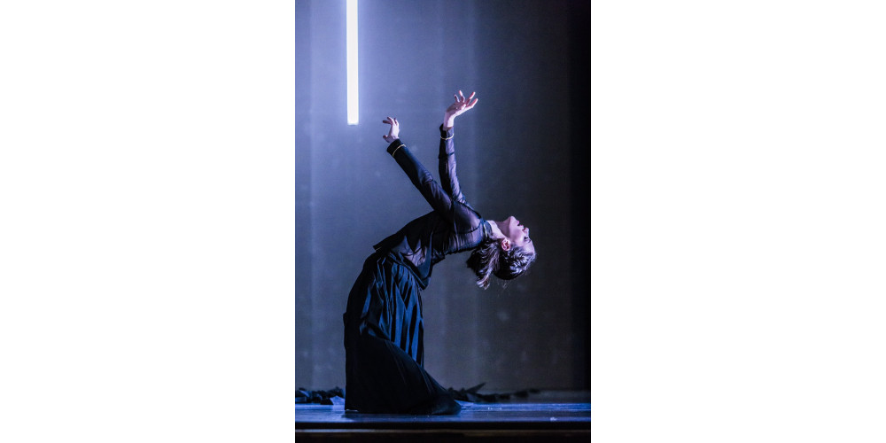 „Bolero“ von Yuki Mori