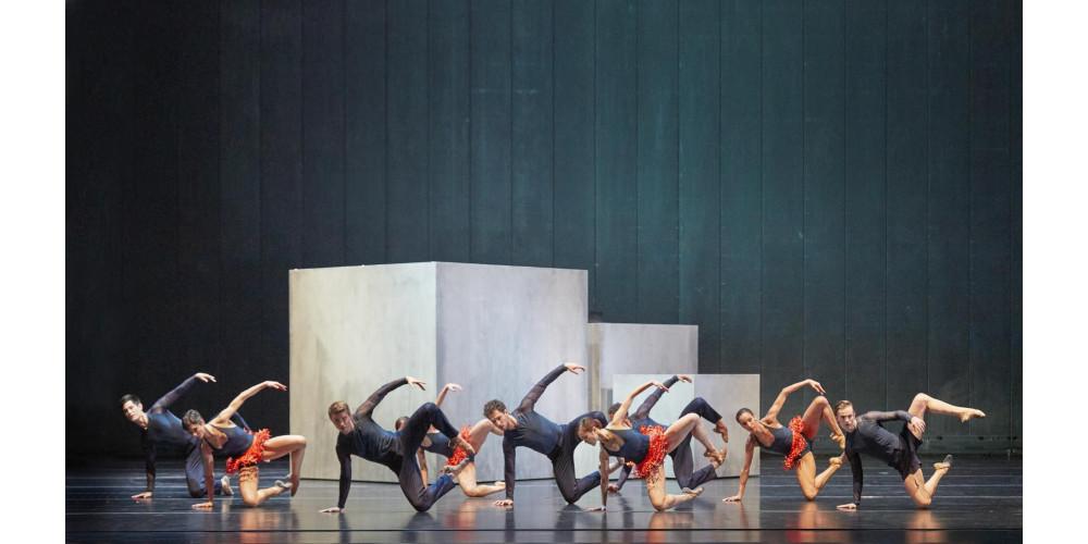 „Ascending Glide“ von Riccardo De Nigris; Ensemble