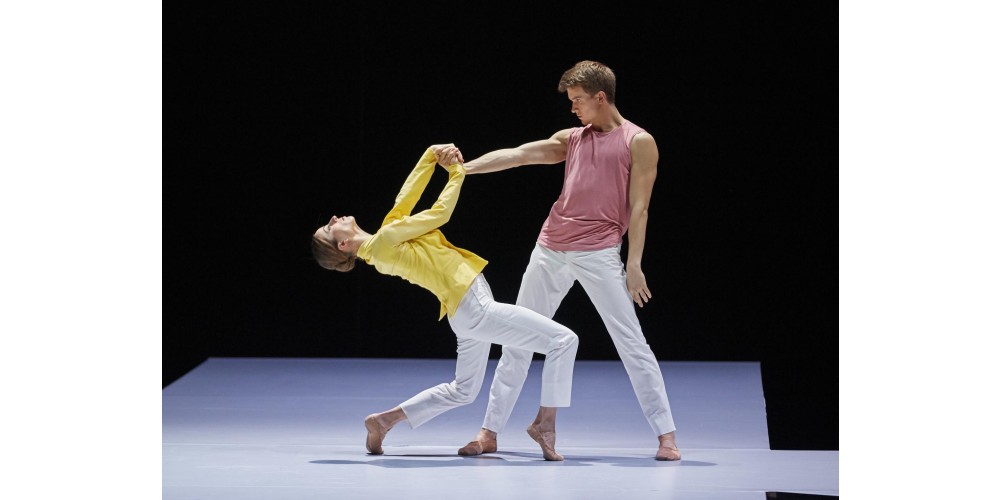 „Shades of us“ von Edward Clug; Eveline Drummen und Tamas Darai