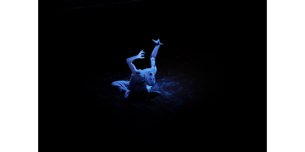 „Sirene“ von Alexander Wenzlik.