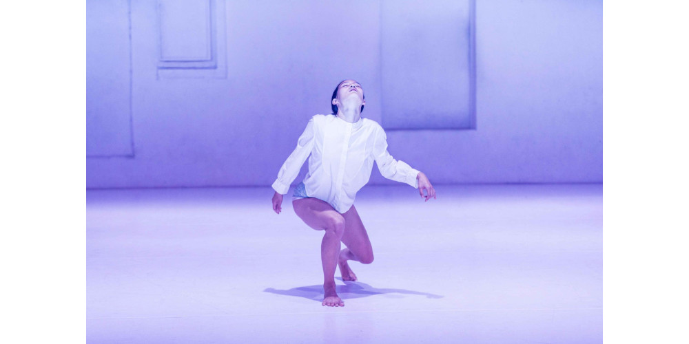 „Boids“ von Moritz Ostruschnjak