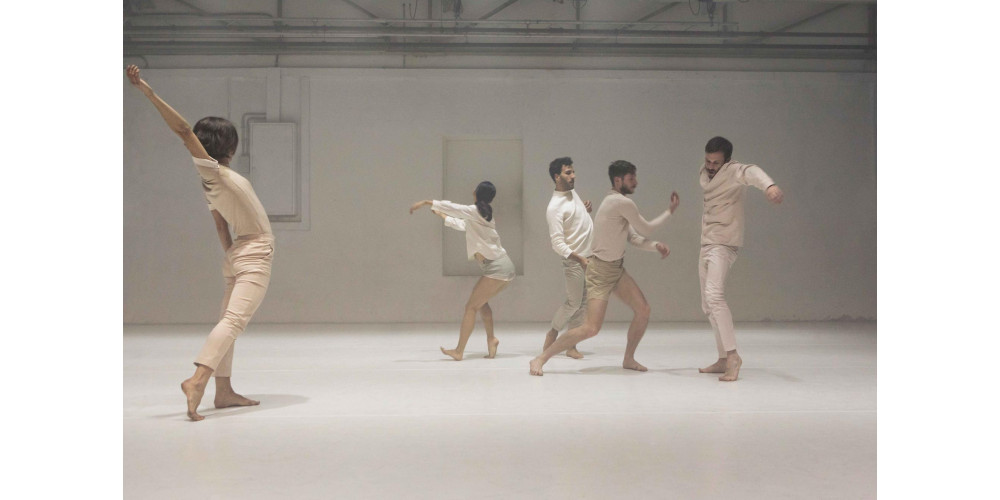 „Boids“ von Moritz Ostruschnjak