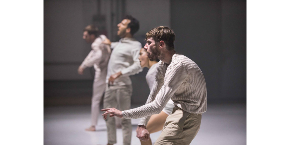 „Boids“ von Moritz Ostruschnjak