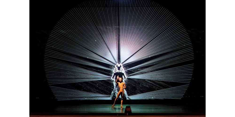 „Dürer´s Dog“ von Goyo Montero