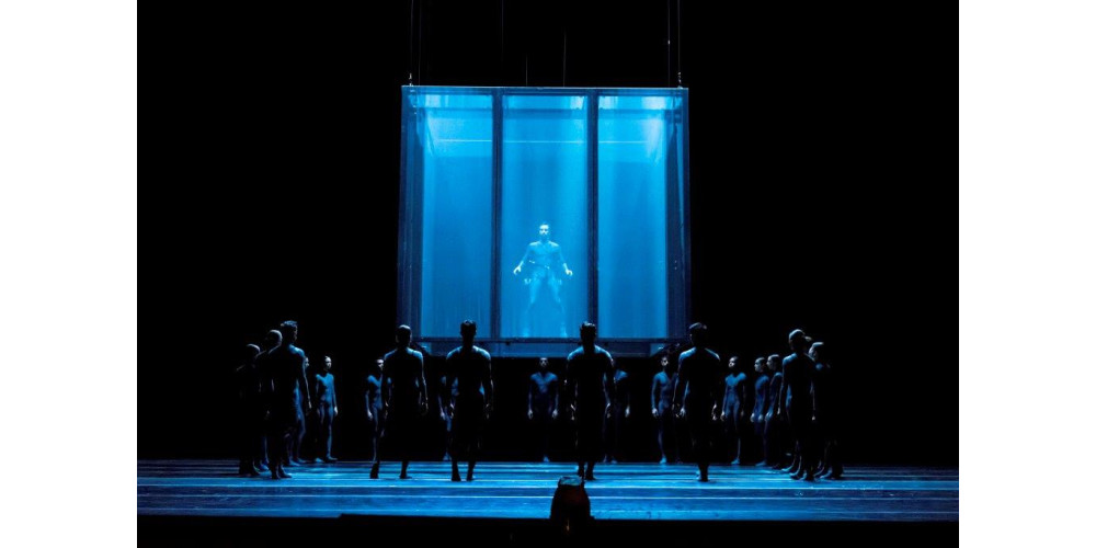 „Dürer´s Dog“ von Goyo Montero