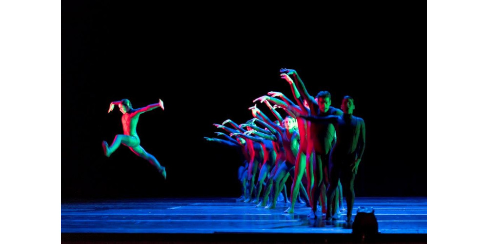 „Dürer's Dog“ von Goyo Montero. Tanz: Ensemble