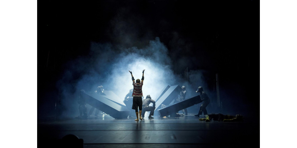 &quot;Über den Wolf&quot; von Goyo Montero