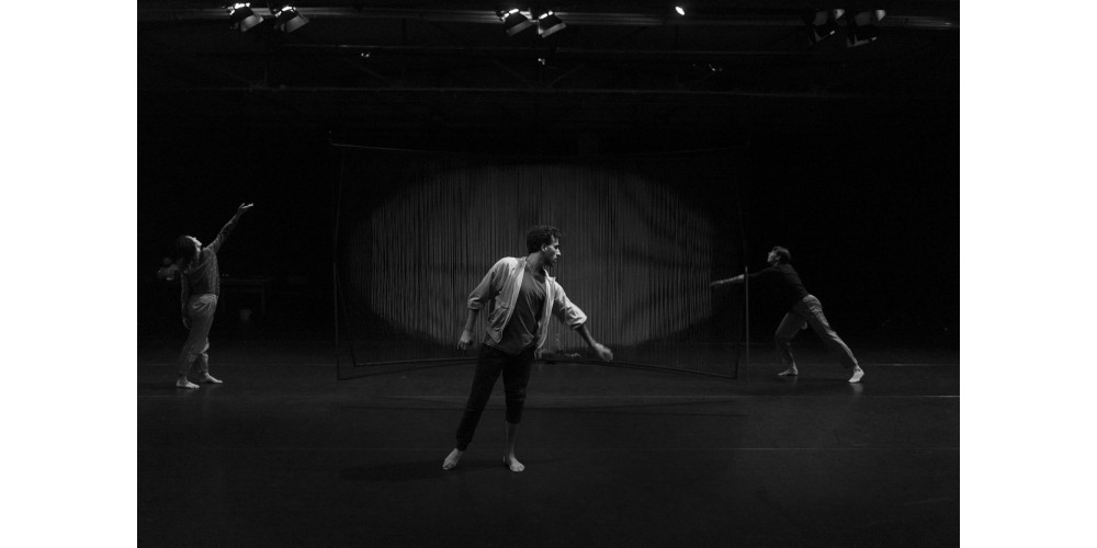 &quot;In Feldern&quot; von Stephan Herwig