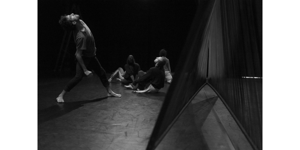 &quot;In Feldern&quot; von Stephan Herwig