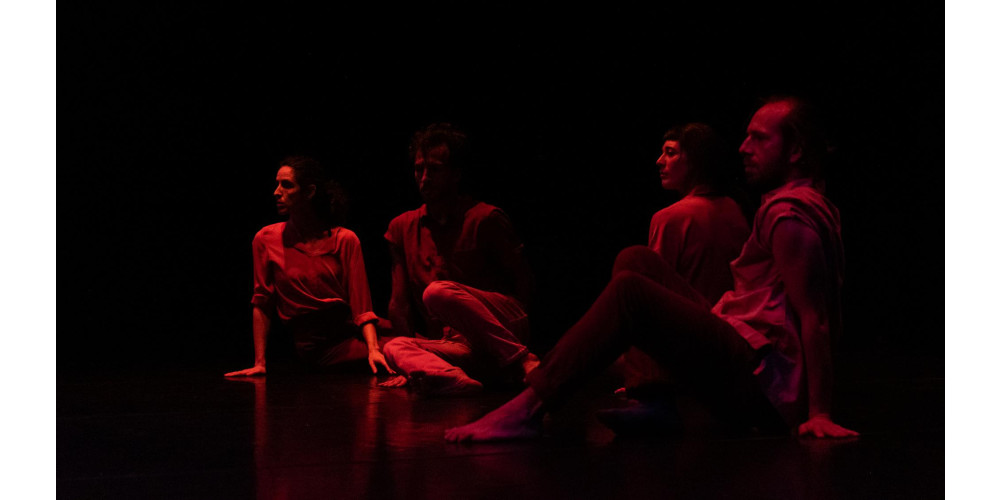 &quot;In Feldern&quot; von Stephan Herwig