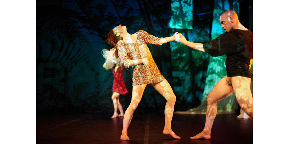 „Asymmetrical Encounters“ von Rosalie Wanka