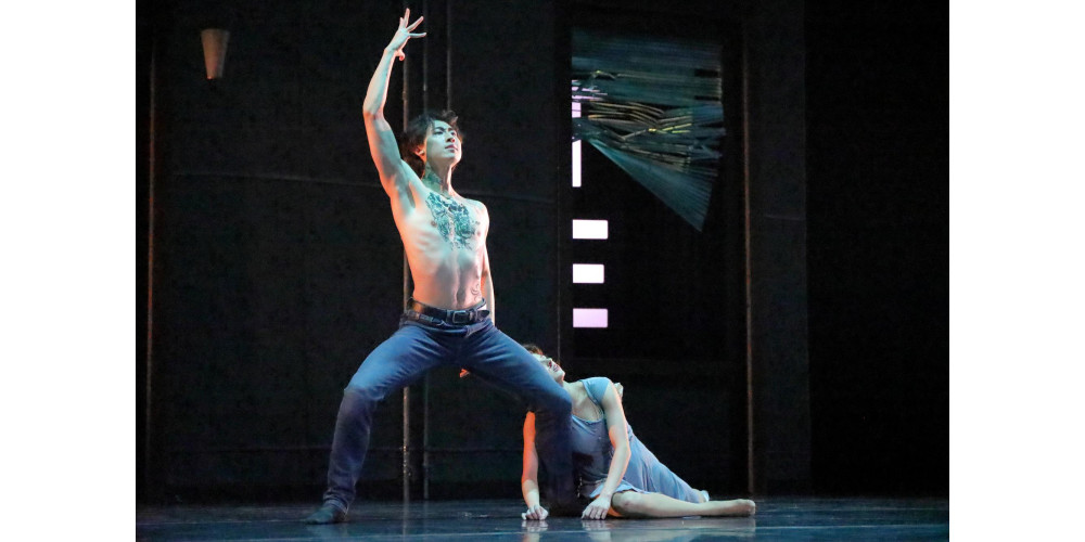 „Cecil Hotel“ von Andrey Kaydanovskiy; J. Zhang, C. Bastos