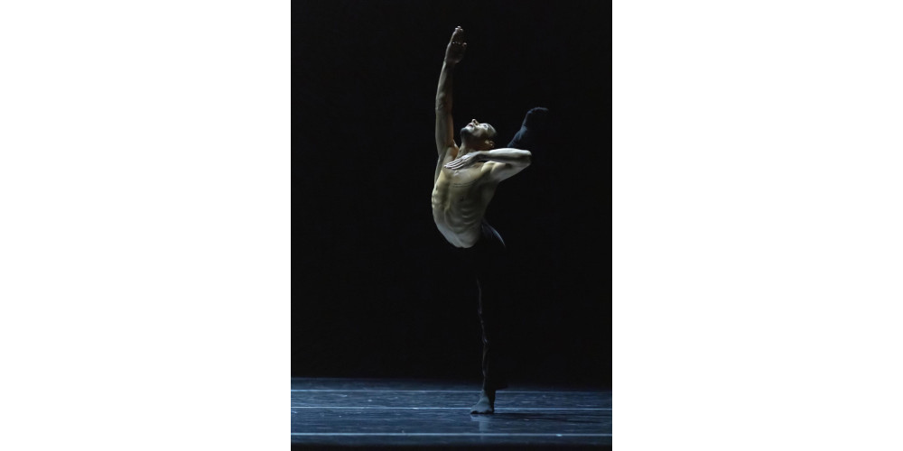 &quot;Woke Up Blind&quot; von Marco Goecke