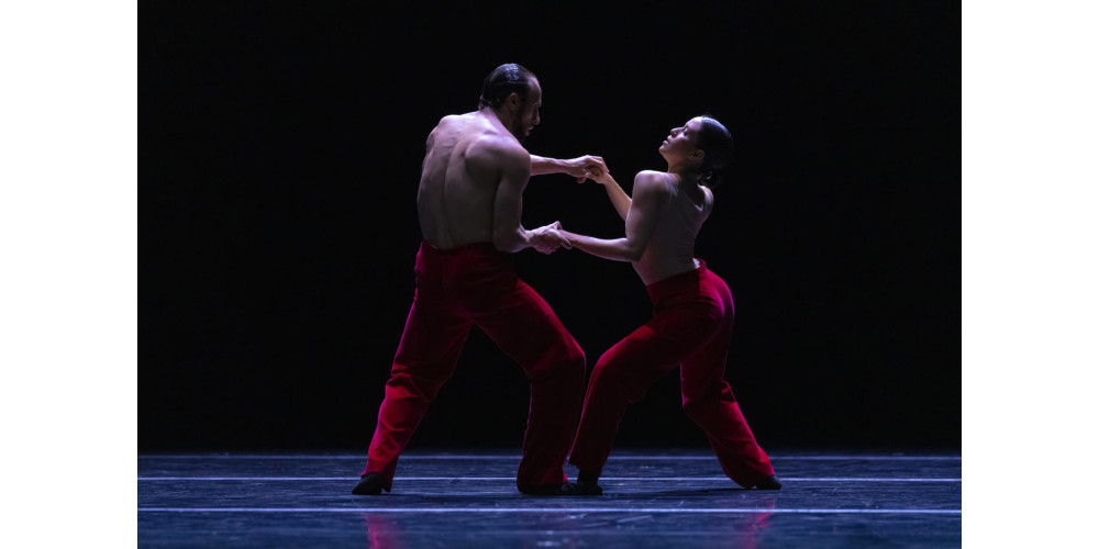 &quot;Woke Up Blind&quot; von Marco Goecke