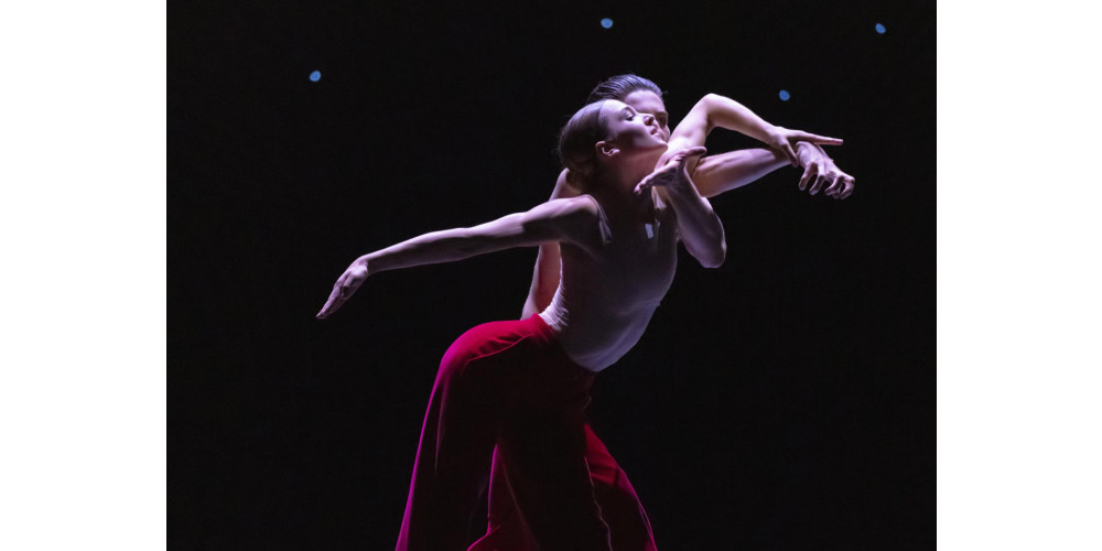 &quot;Woke Up Blind&quot; von Marco Goecke