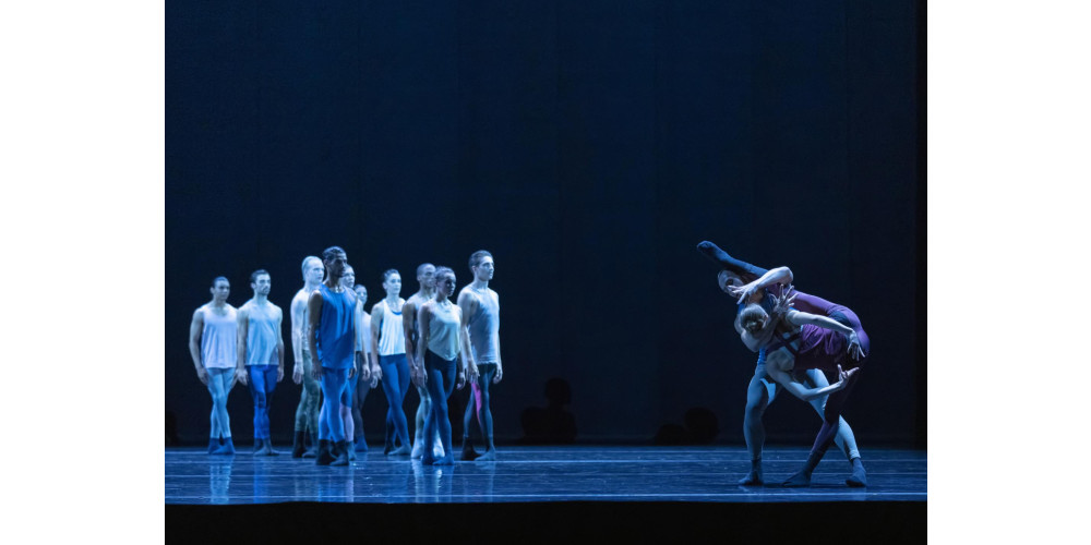 „Metamorphers“ von Jacopo Godani