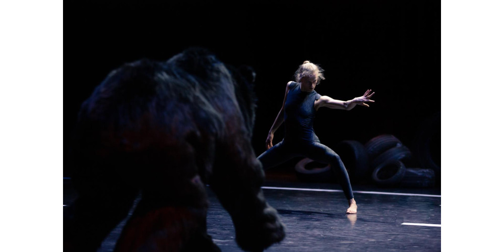 &quot;Traces&quot; von Wim Vandekeybus