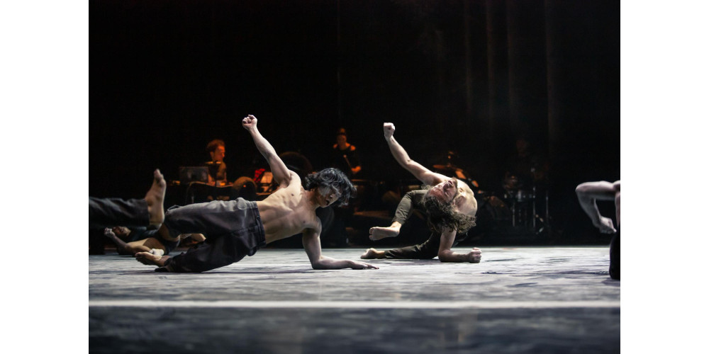 &quot;Traces&quot; von Wim Vandekeybus