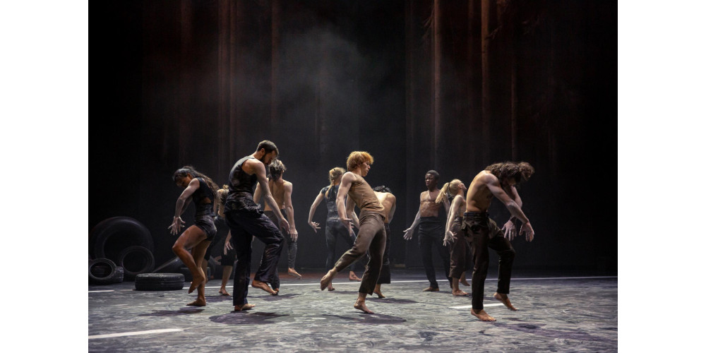 &quot;Traces&quot; von Wim Vandekeybus