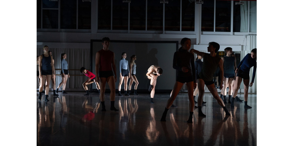 Tanzausbildung im Wandel