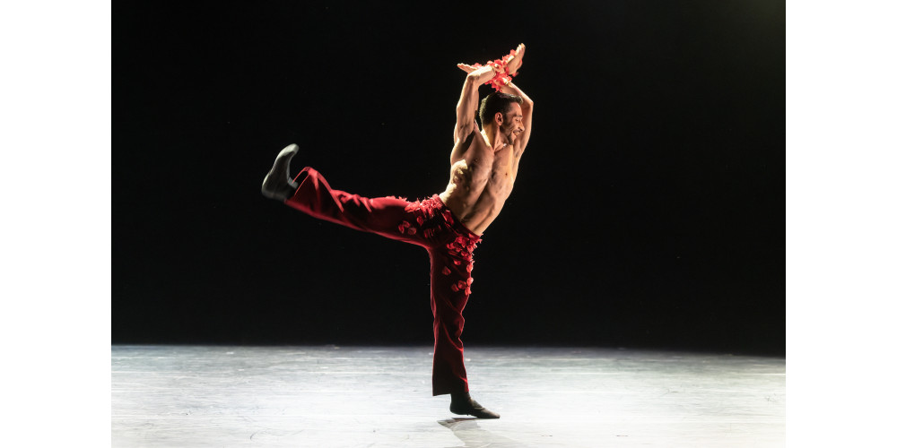 Internationale Ballett- und Tanzgala Augsburg 2023, Ballett Augsburg. Tanz: Cosmo Sancilio