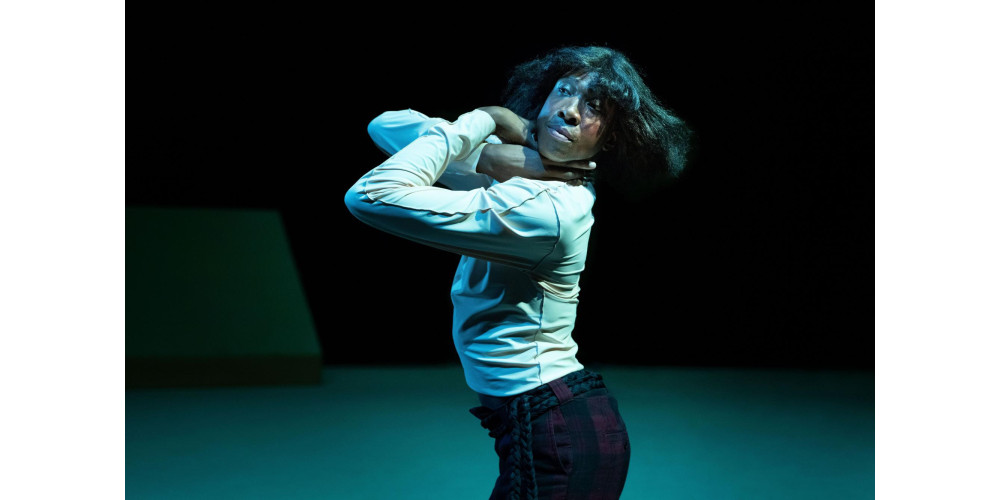 „Still Not Still“ von Ligia Lewis