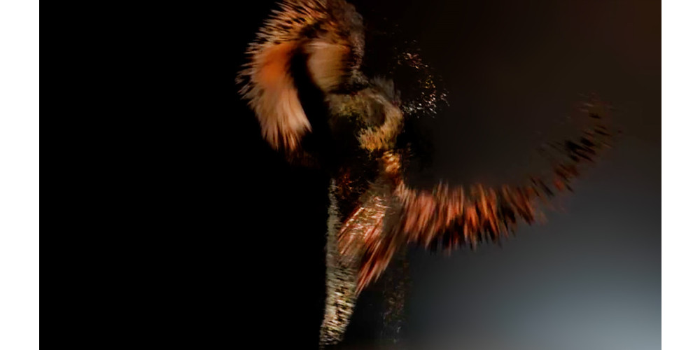 „Tracing the Negative Space“ von Angelika Meindl, Tobias Gremmler und Thomas Mahnecke