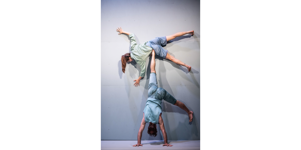 Alexander Vantournhout: „Foreshadow“