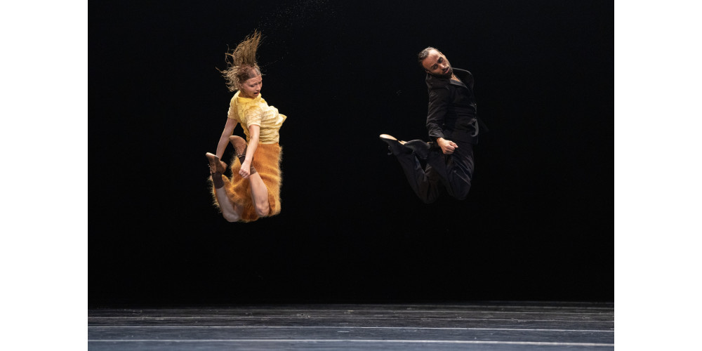 „Boîte-en-valise“: „A sort of...“