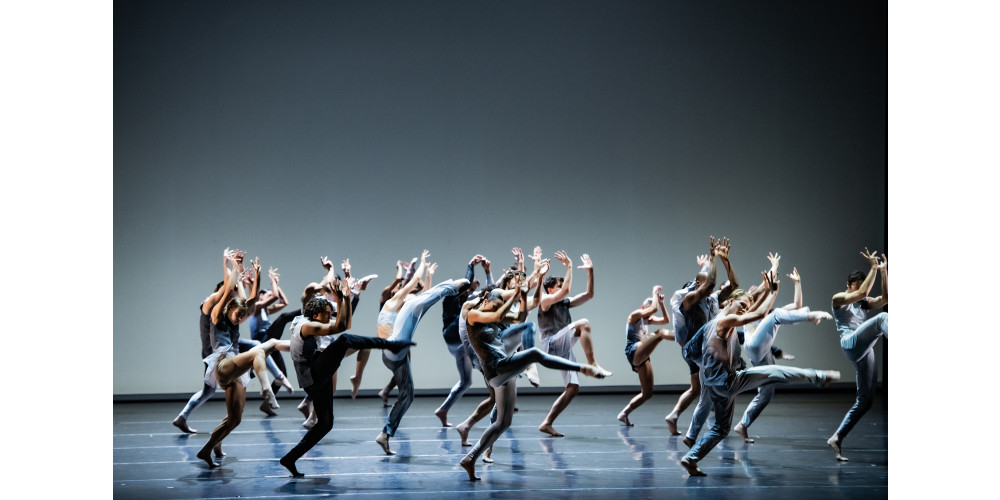 „Goldberg“ von Goyo Montero