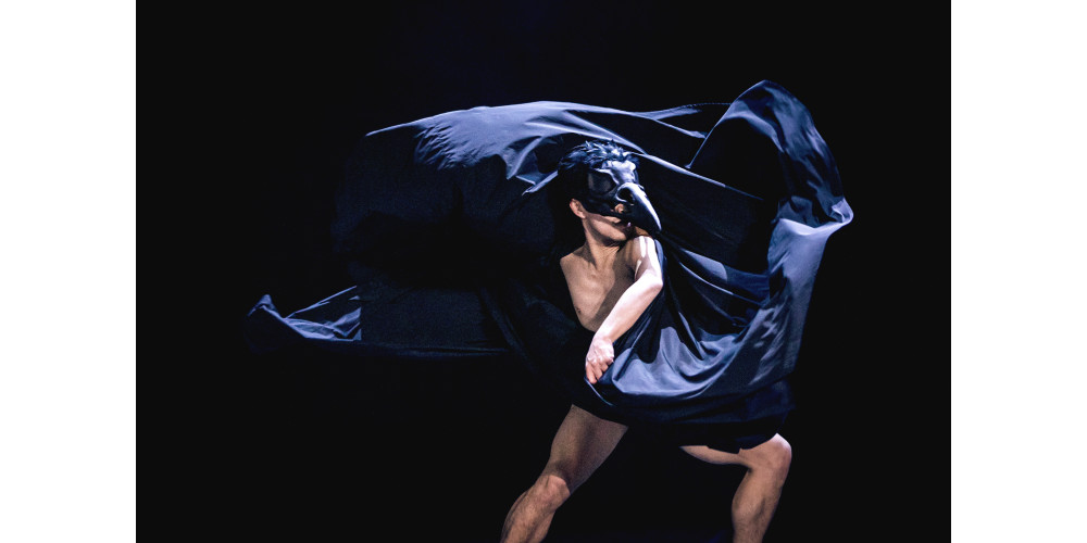 „TRANSIT“ von Wagner Moreira: Tanz: Ensemble der Regenburger Tanzcompany