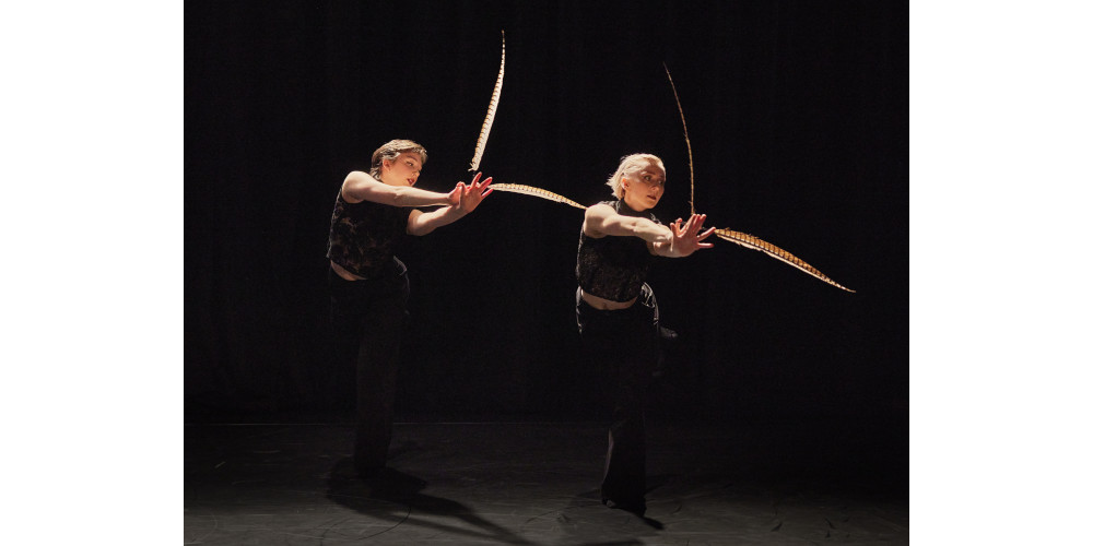 „Ask my Shadows&quot; von Mirko Ingrao. Tanz: Hanna Becker und Matisse Maitland