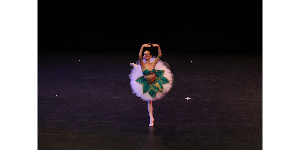 Deutscher Bundeswettbewerb. März 2024 in Fürstenfeldbruck